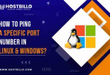 How to Ping a Specific Port Number in Linux & Windows?