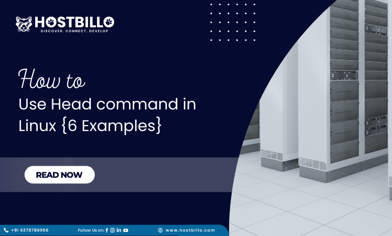 How to Use Head command in Linux {6 Examples}