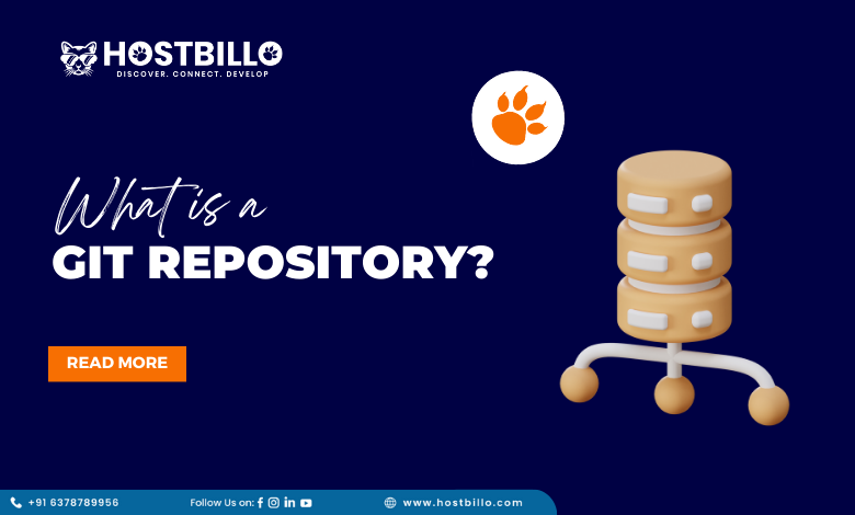 What is a Git Repository?