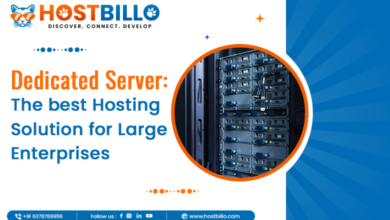 Dedicated Server: The Best Hosting Solution for Large Enterprises