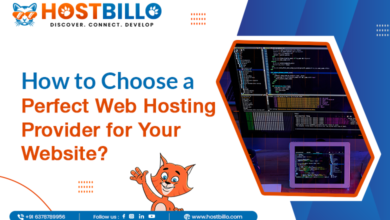 How to Choose a Perfect Web Hosting Provider for Your Website?