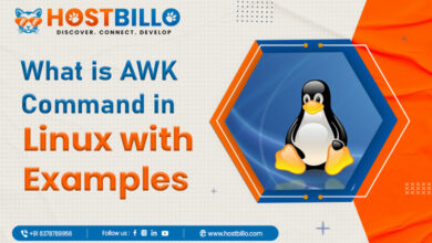 What is AWK Command in Linux