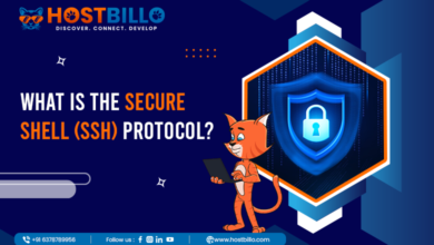 What is the Secure Shell (SSH) Protocol?