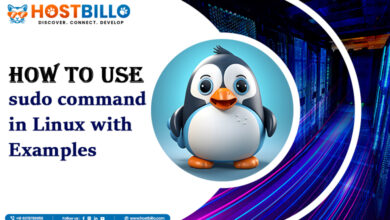 How to Use sudo Command in Linux with Examples