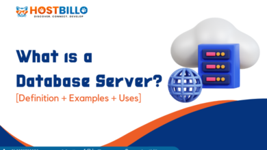 What is a Database Server? [Definition + Examples + Uses]