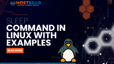 sleep command in Linux