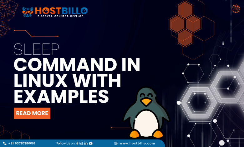 sleep command in Linux